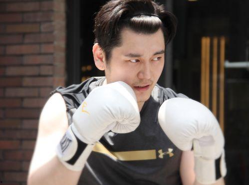 王岳岳最新爆料视频播放,事件真相与幕后黑手浮出水面  第3张